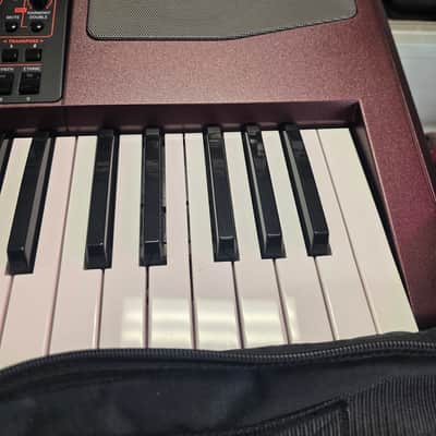 Korg PA1000 61-Key Professional Arranger 2017 - Present - Red image 6