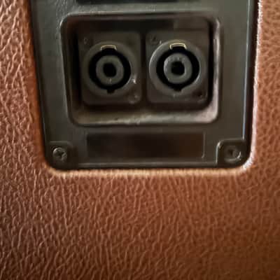 Euphonic Audio Wizzy 110 2010’s - Brown tolex image 4