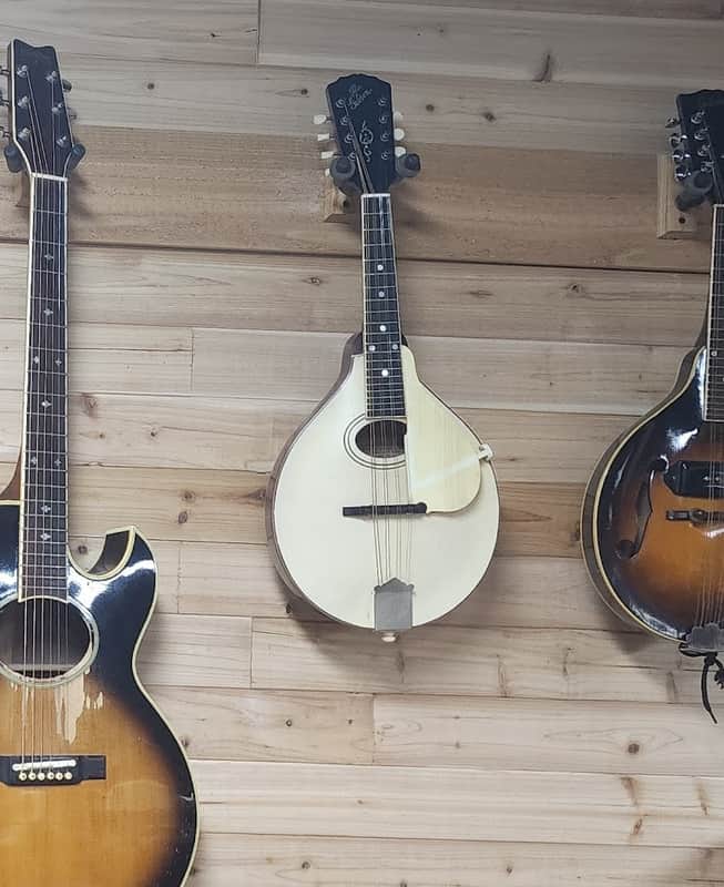 Gibson A-3 Mandolin 1920 "White Top" - Blond + White Top Model F8511 image 1
