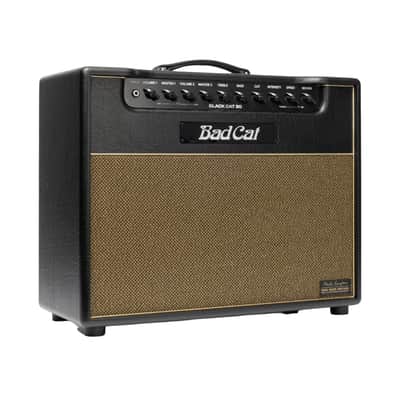 Bad Cat Mod Shop Black Cat 30 Combo (Mark Sampson Mod) image 3