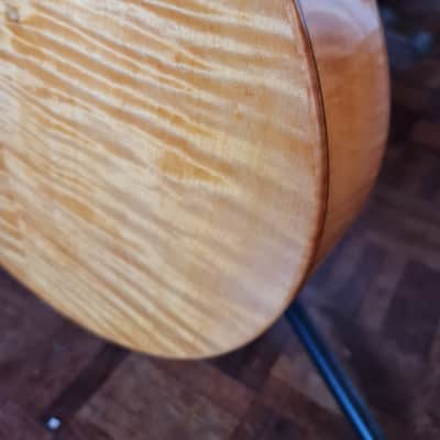 Fibonacci ROMA 2020, Natural , Gloss image 12