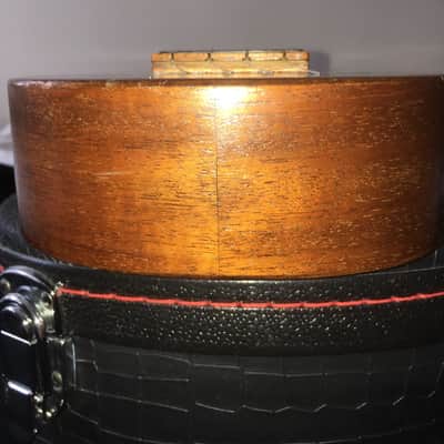 Lyon & Healy / Washburn Soprano 1920s image 19