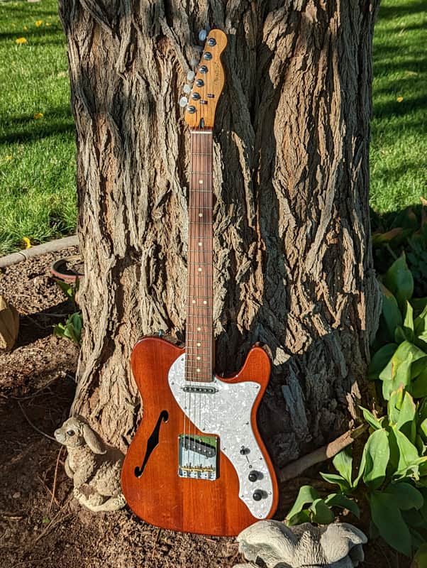 Fender Partscaster Telecaster Thinline Roasted Maple Neck Mahogany Semi-Hollow w/ Fralin Pickups image 1