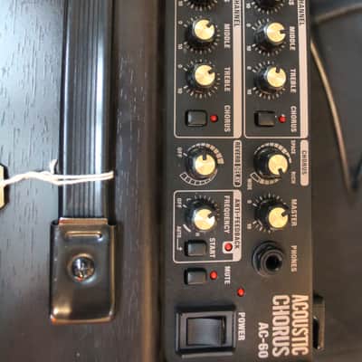 Roland AC-60RW Acoustic Chorus 2-Channel 60-Watt 2x6.5" Guitar Combo Rosewood image 3