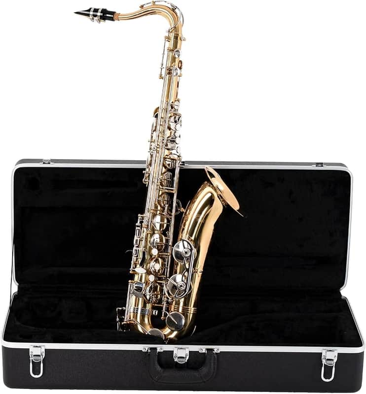 Antigua Vosi Eb Tenor Saxophone Outfit With Case image 1