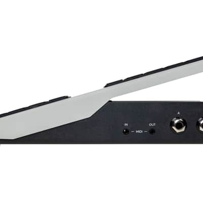 Walrus Audio Canvas Expression Expression Pedal image 7