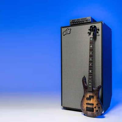 Aguilar - DB 810 - 4 ohm - black image 2