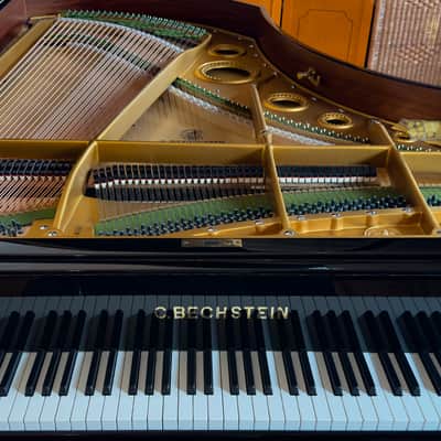 Immagine Bechstein V 1903 - Black Polish - 3
