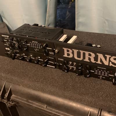 Burns Sigma 4 Slot 2U 19" Rack Mountable Storage, Black, Synergy Randall Egnater Modules Storage Case image 2