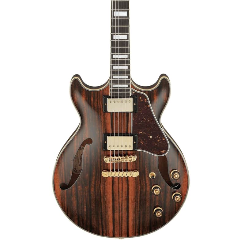 Ibanez Artcore Expressionist AM93ME-NT 6-String Semi-Hollow Body Electric Guitar with Macassar Ebony Fretboard, Right-Handed, Natural image 1