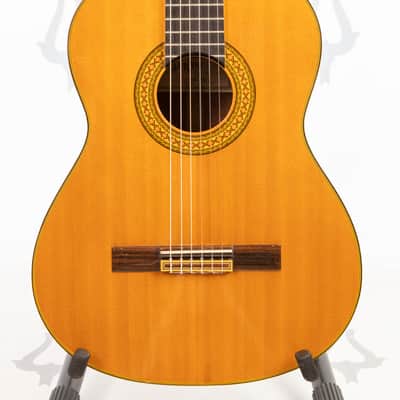 Daion GC 20 (Yamaki Built) image 2