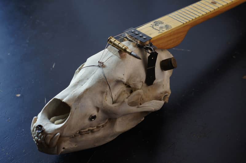 4 string cigarbox style bear skull guitar Spirit image 1