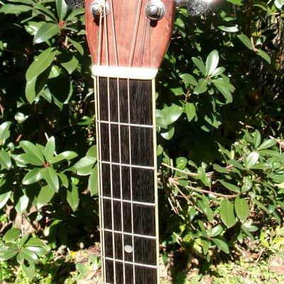 1979 Yairi D35 YW550 Natural + Case image 5