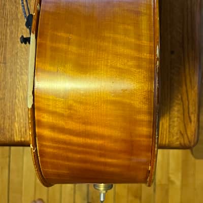 Andreas Eastman Half-Size Cello VC200 2008 image 12