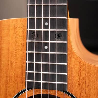 Taylor 24ce Grand Auditorium Acoustic/Electric Guitar with Gig Bag image 9