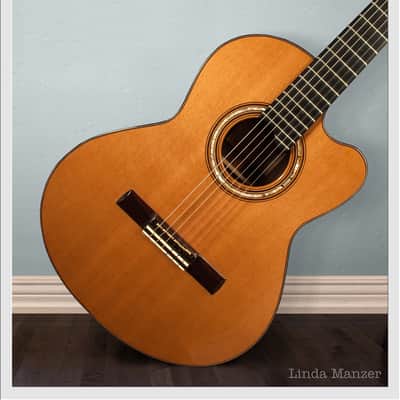 Linda Manzer Nylon String image 5
