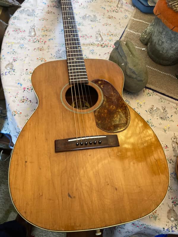 Gretsch Burl. Ives 1950 s - Regular image 1
