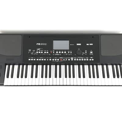 Korg PA300