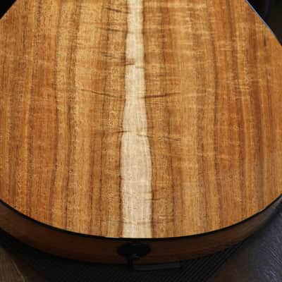 Unplayed! 2018 Taylor 712ce 12 Fret Limited Edition Torrified Spruce Blackwood Acoustic Guitar Natural + OHSC image 15