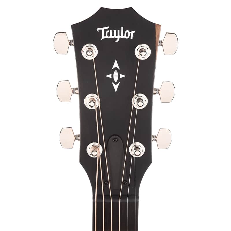 Taylor Builder's Edition 717 with V-Class Bracing image 6