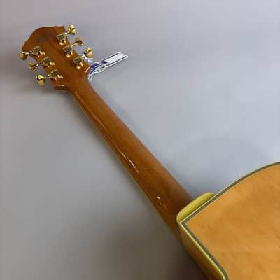 Ibanez PM200 2025 image 7