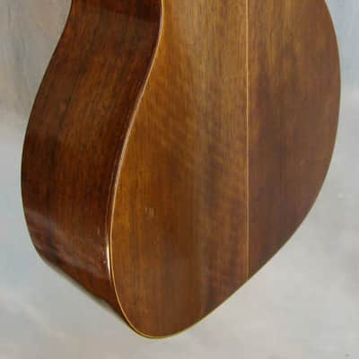 Vintage 1867 Martin 2-20 Parlor w/original coffin case image 6