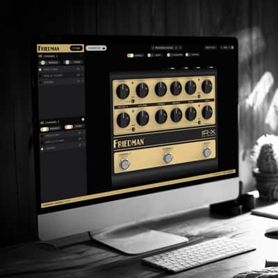 Friedman IR-X Dual Tube Preamp - B Stock image 11