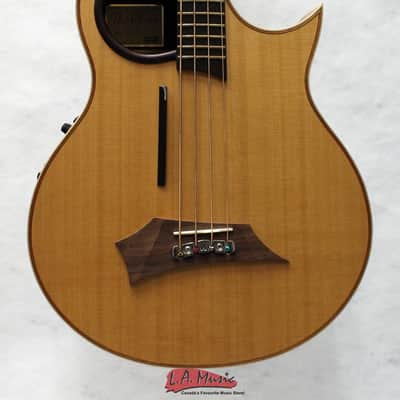Warwick Alien Acoustic Bass Guitar image 1