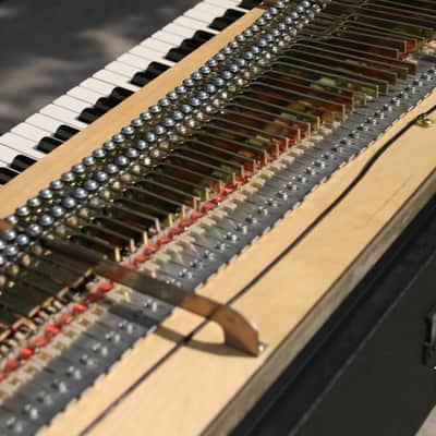 Rhodes Mark I Stage 88-Key Electric Piano 1978 - Black Rounded Top image 7