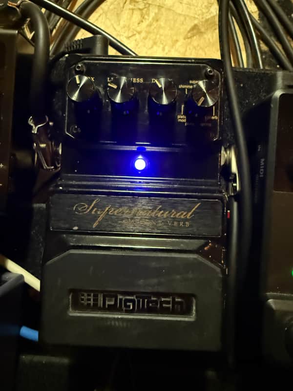 DigiTech Supernatural Stereo Ambient Reverb Pedal | Reverb