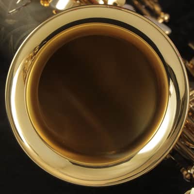 Yanagisawa Yanagisawa Alto A-991 Alto Saxophone SN.29xxxx (02/02) image 14