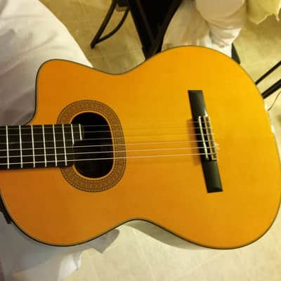Takamine E30 1989 Acoustic Electric Classical Nylon Vintage Natural image 10