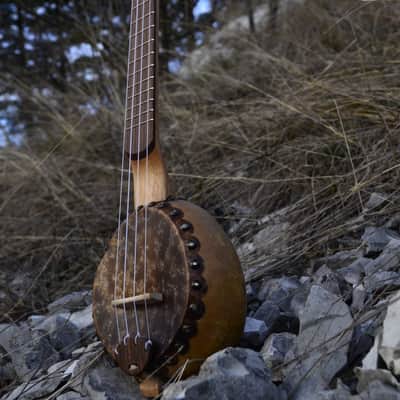 Waiz Gourd Ukulele 2022 image 1