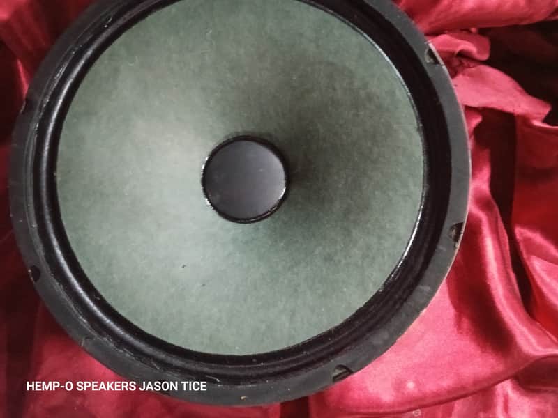 12" ALNICO SPEAKER HEMP FIBER CONE G3 HEMPOPOTAMUS W MAGNET 2" COIL ! FAT THICK MEATY MAGNETICALLY SATURATED TONALITY 8 OHM 50 WATT image 1