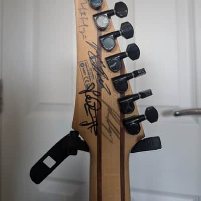 Ibanez RGD7421-BKF 2012 (upgraded pickups, signed by Dream Theater) image 4