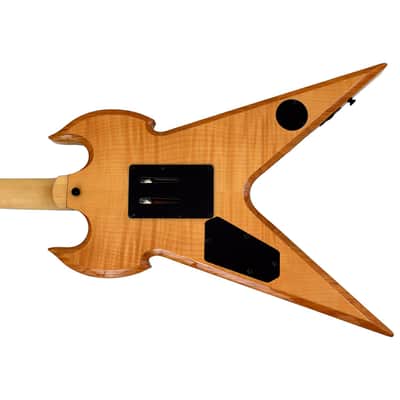 Wylde Audio RawTop Warhammer FR Norse Dragon Bullseye Guitar B-Stock 0175 image 6