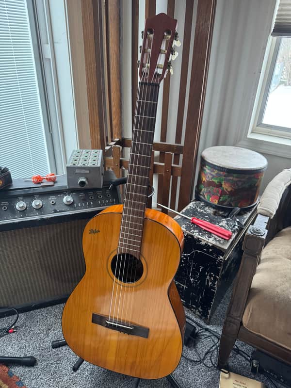 Hofner Classical 1967 - Natural image 1