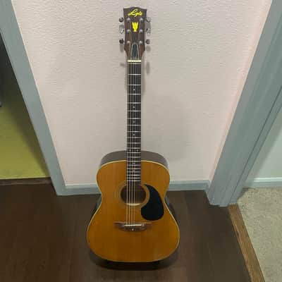Lyle Acoustic Guitar 60s/70s image 1