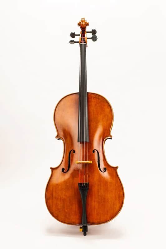D Z Strad Model 600 Cello w/ Case & Bow (1/2-4/4) image 1