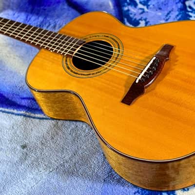 2020 Hippner Dabema Acoustic Steel String Guitar Auditorium - OM with Fishman Sonitone Pickup image 9