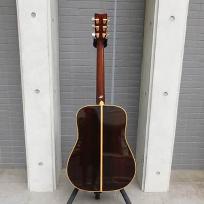 YAMAHA L-10 Early Model | 1977 | Vintage MIJ Acoustic | Jacaranda Back & Sides image 4