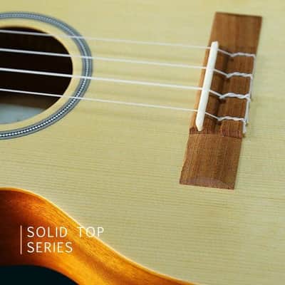 PukanaLa Model PU-CAT Solid Spruce top Series Tenor Size Ukulele w/ Gloss Finish image 6