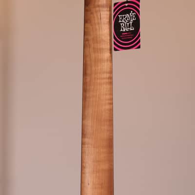 MusicMan Cutlass HT Jason Richardson - Ebony Fingerboard, Buckeye Burl Top Kokiri Forest image 14