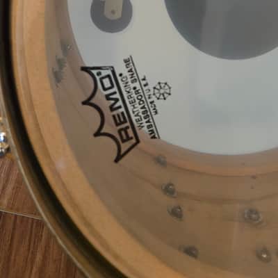 Slingerland Radio King 1951 - White Marine Pearl image 11