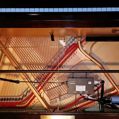 Dampp-Chaser 5PS-38 vertical piano humidifier control system image 2