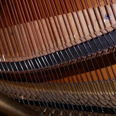 1981 Yamaha P202 image 5