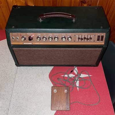 RARE Vintage Acoustic Control Corp G100T Tube Guitar Amplifier Head! w/ Reverb & 5-band EQ image 1
