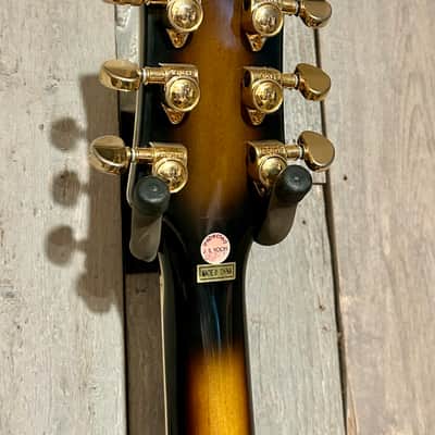 Jay Turser  JT134DC 335 Style Semi-Hollowbody Electric Guitar - Sunburst, Ships Fast with A Pro Set Up! image 13