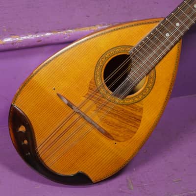 1970s Suzuki Spruce/Maple Bowlback Mandolin (VIDEO! Fresh Work, Ready) image 2