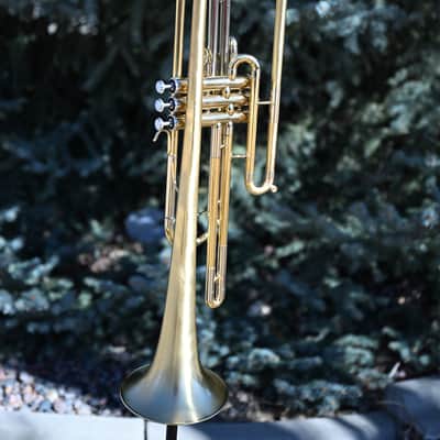 Bb Bass Trumpet - Scratched and Buffed Lacquer - NEW student model / great as a secondary or marching horn image 1